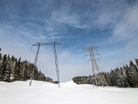 Camp Mercier